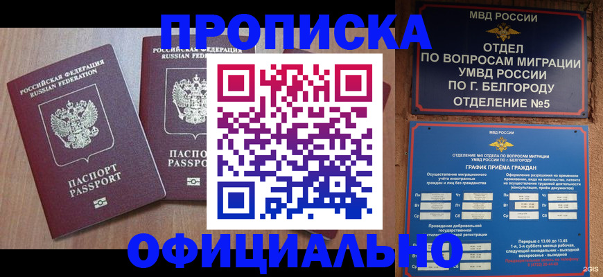 найти адрес прописки в Щиграх